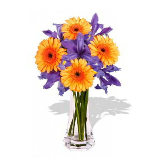 Gerbera and Iris Bouquet